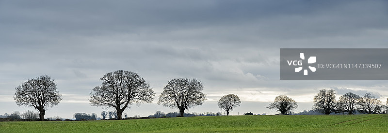 英国格洛斯特郡奇平索德伯里科茨沃尔德路，光秃秃的树木和原野图片素材