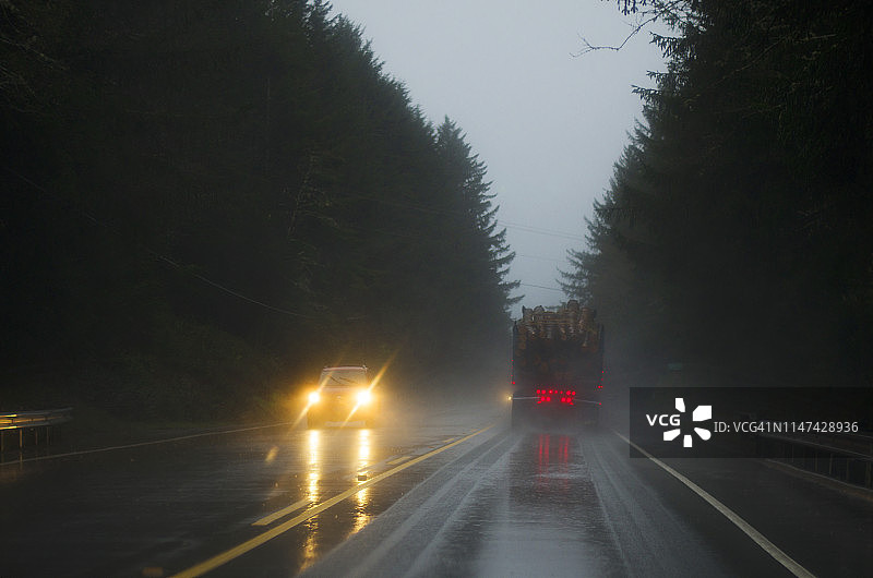 迷雾森林图片素材