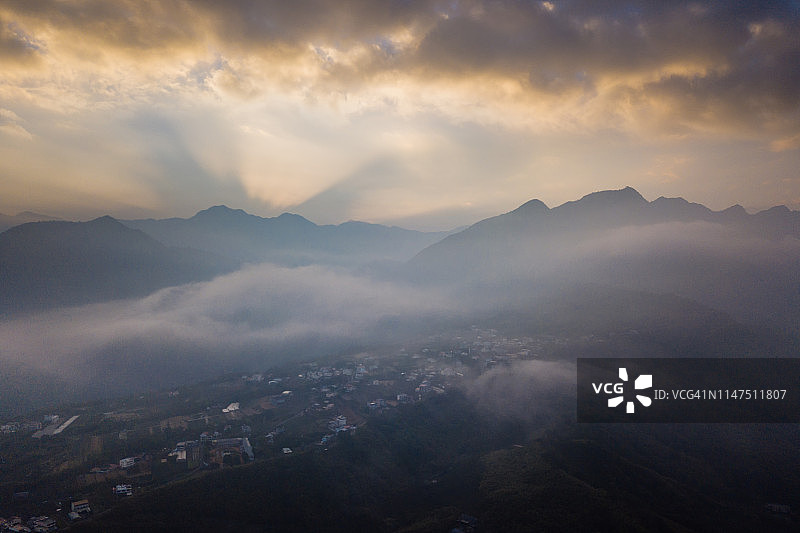 山间蕨类森林的朦胧清晨图片素材