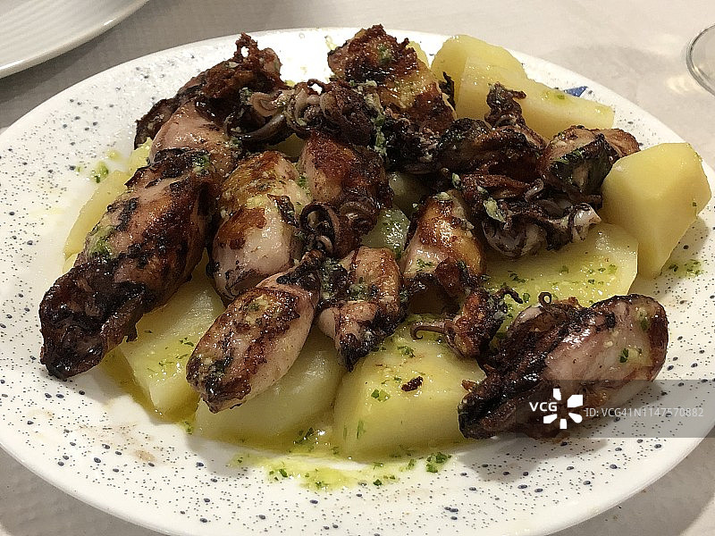 小墨鱼图片素材