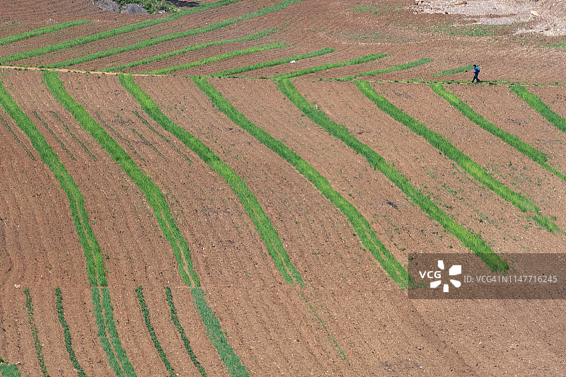 科松及周边地区的一些照片图片素材