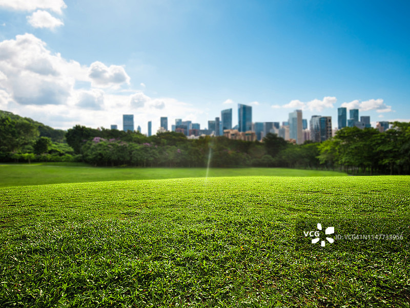 城市公园草地图片素材