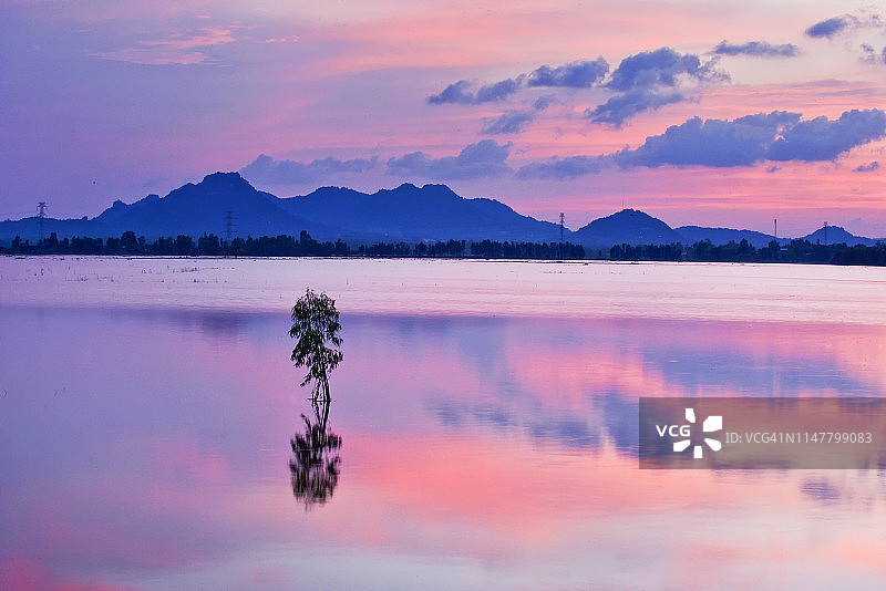 倒映在湖面上的孤树与壮丽的天空图片素材