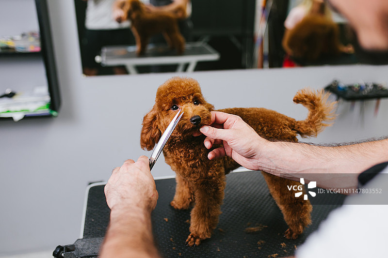 美容沙龙图片素材