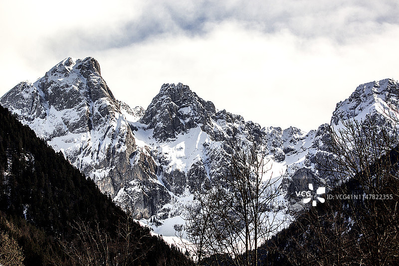 裸树后白雪皑皑的山峰特写图片素材