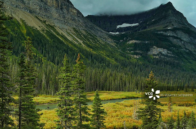 冰川国家公园圣玛丽河中涉水的驼鹿图片素材