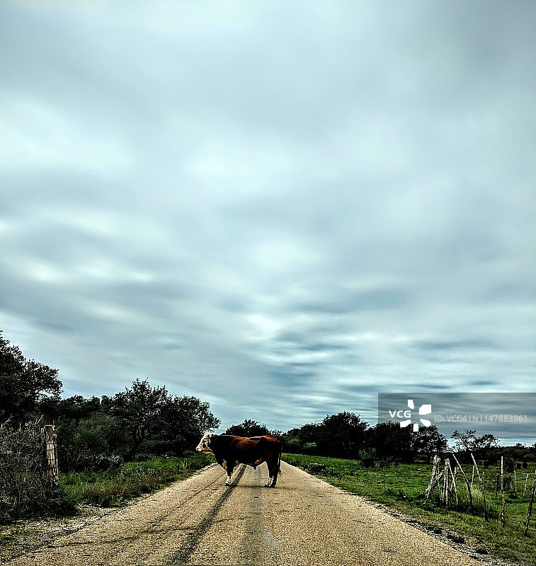长角路图片素材
