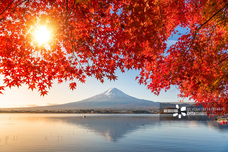 富士山秋色和河口湖晨雾红叶全景，日本最佳景点之一图片素材