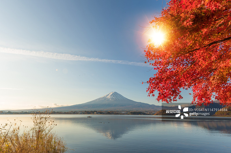 富士山秋色和河口湖晨雾红叶全景，日本最佳景点之一图片素材