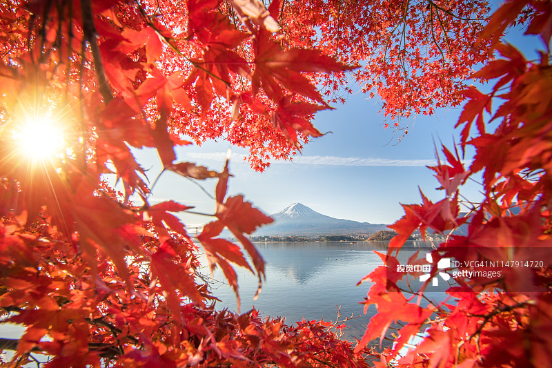 川口町湖的秋色和富士山的晨雾和红叶是日本最好的地方之一图片素材