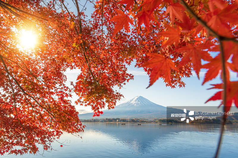 川口町湖的秋色和富士山的晨雾和红叶是日本最好的地方之一图片素材