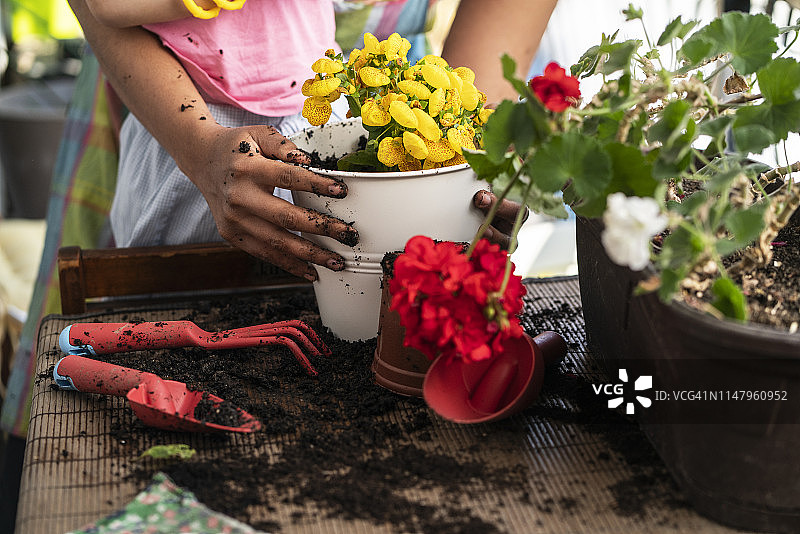 种植时节图片素材