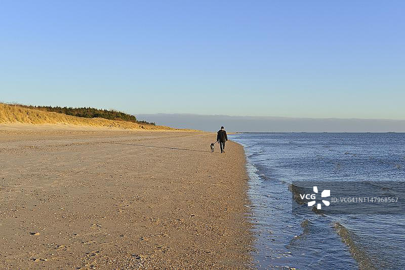 男人在空旷的沙滩上遛狗，德国北弗里西亚群岛图片素材