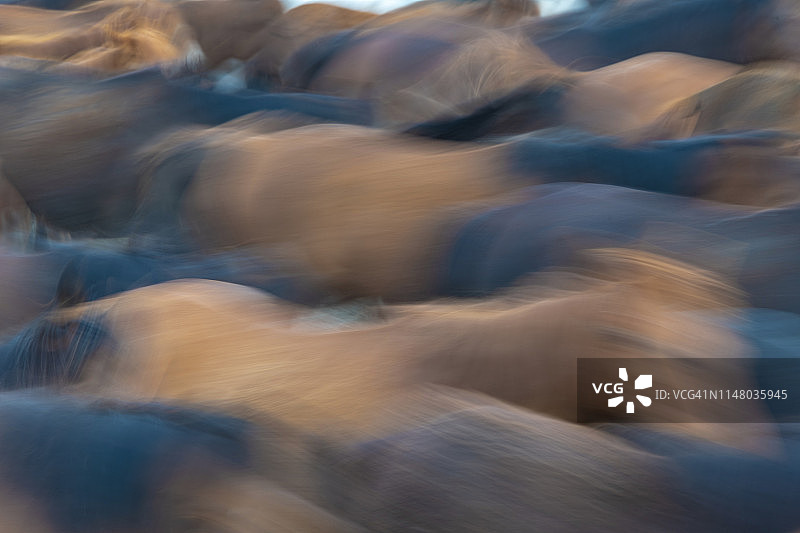 霍尔梅特奇萨兹利吉图片素材