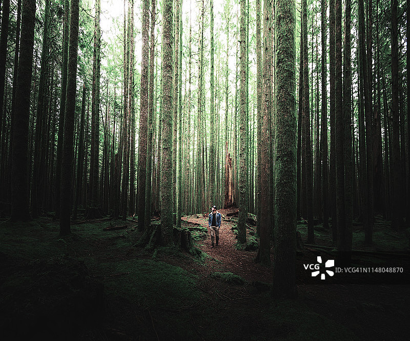 在加拿大不列颠哥伦比亚省徒步的男人图片素材