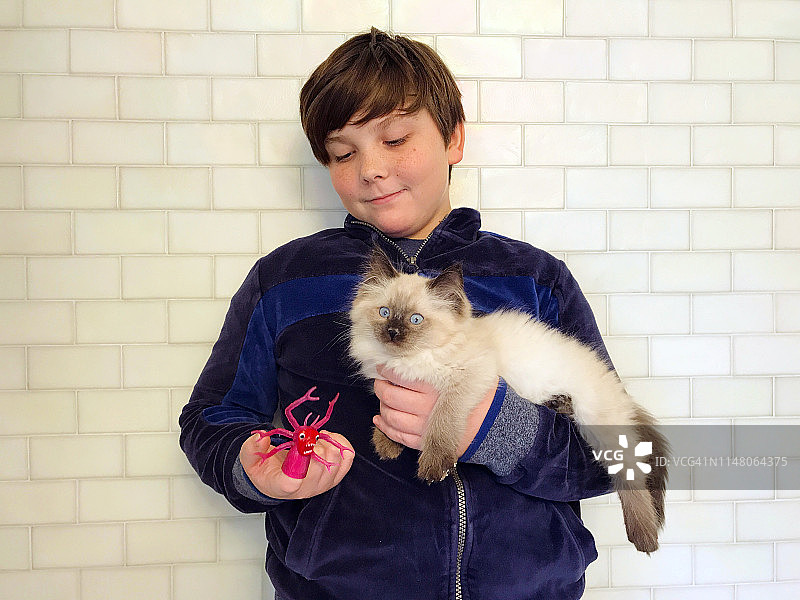 男孩玩指偶和小猫图片素材