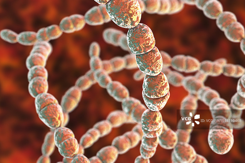 嗜热链球菌细菌插图图片素材