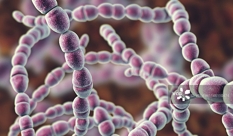 嗜热链球菌细菌插图图片素材