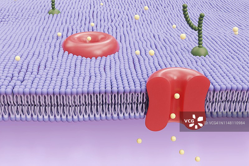 细胞膜示意图图片素材