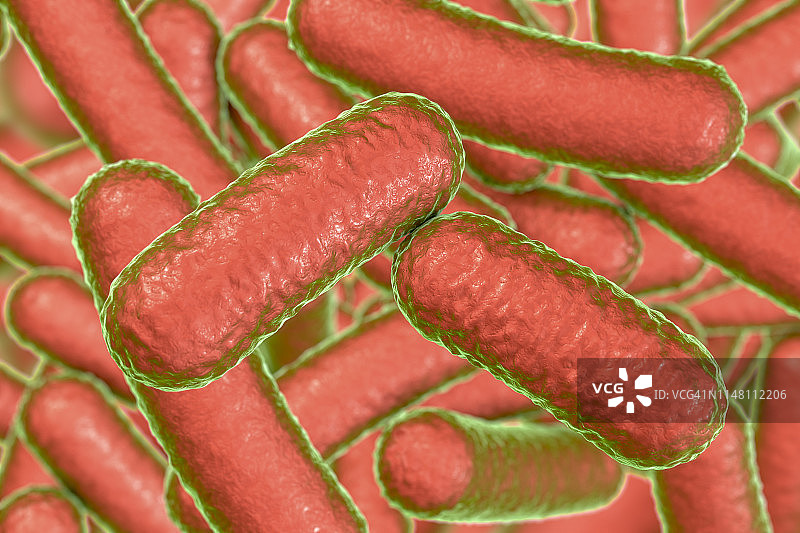 细菌,插图图片素材