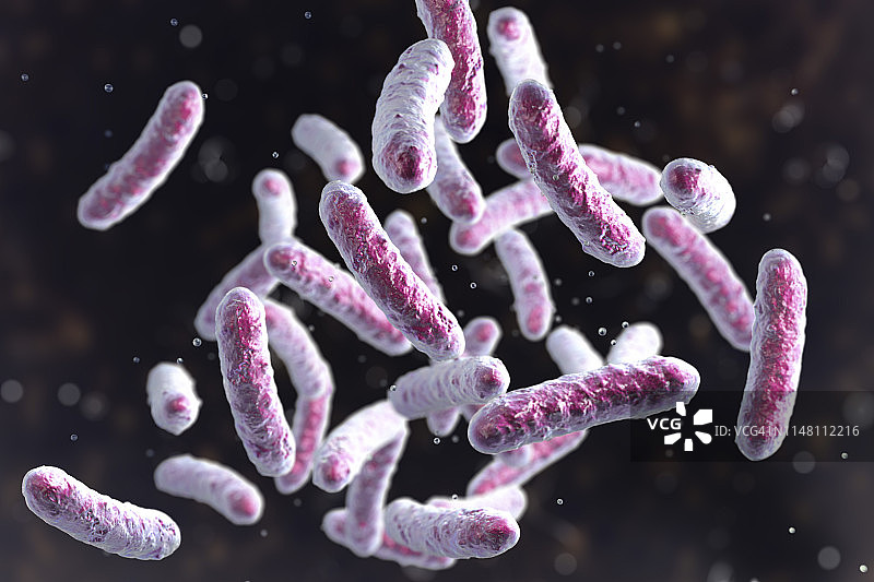 细菌,插图图片素材