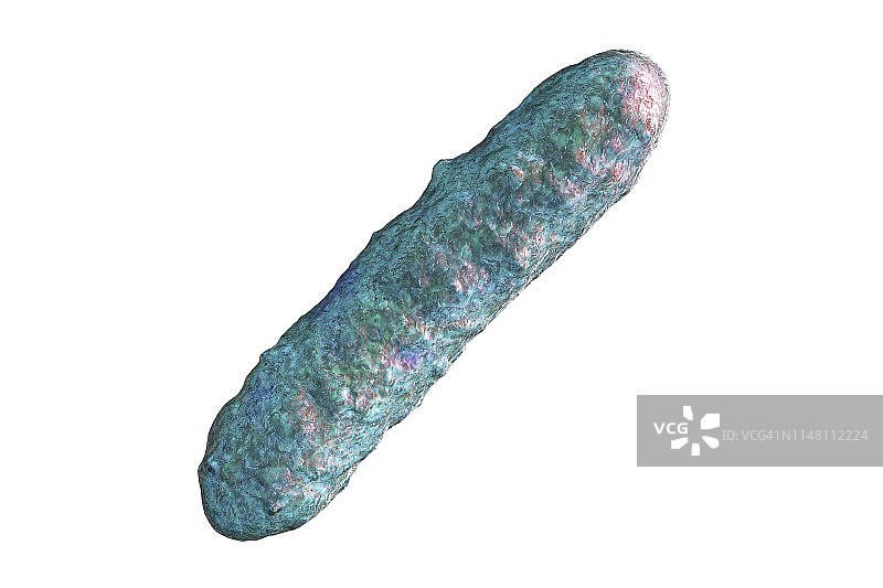 细菌插图图片素材