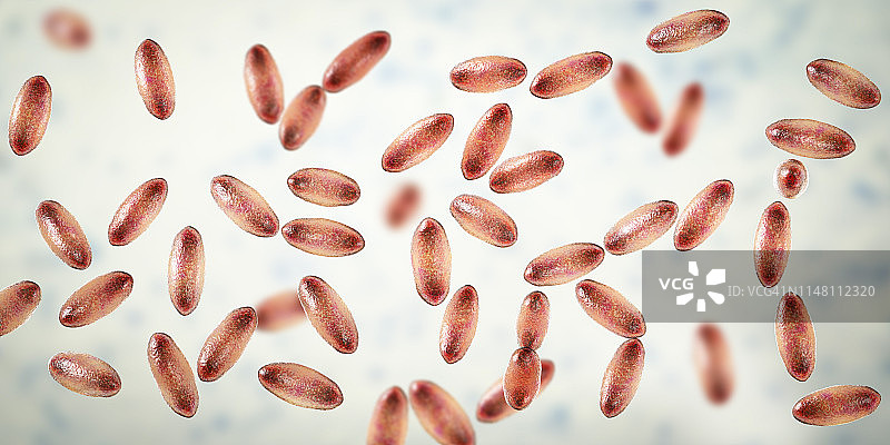 鼠疫耶尔森菌插图图片素材