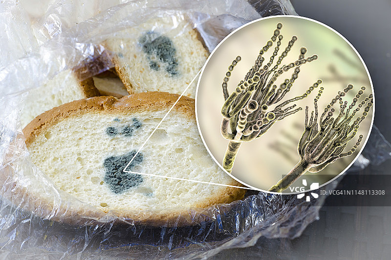 发霉的面包合成图图片素材