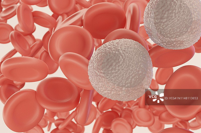 白细胞和红细胞插图图片素材