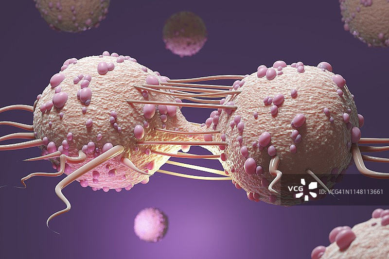 癌细胞分裂示意图图片素材