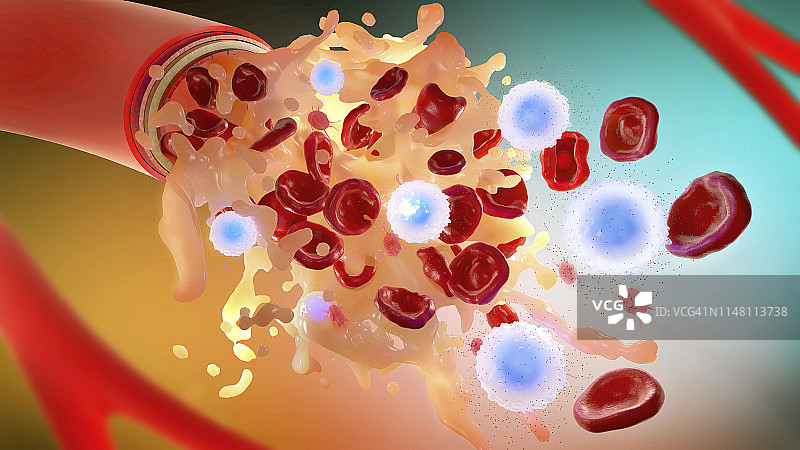 血液成分插图图片素材