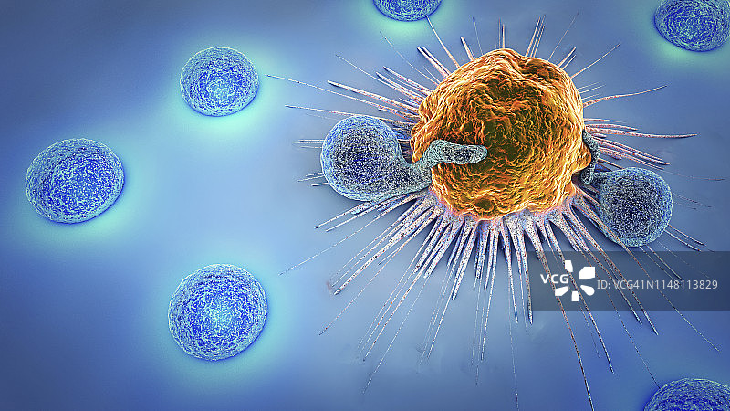 淋巴细胞攻击癌细胞插图图片素材