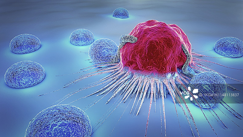 淋巴细胞攻击癌细胞插图图片素材
