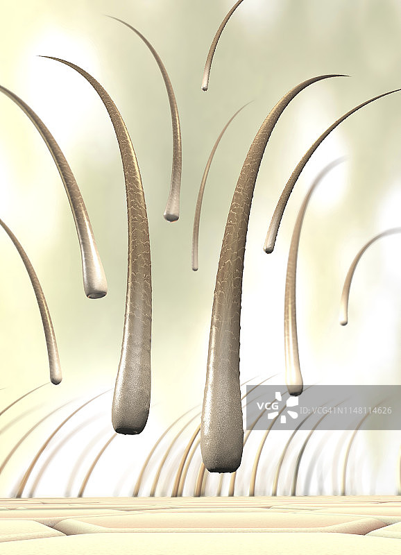 脱发概念图图片素材