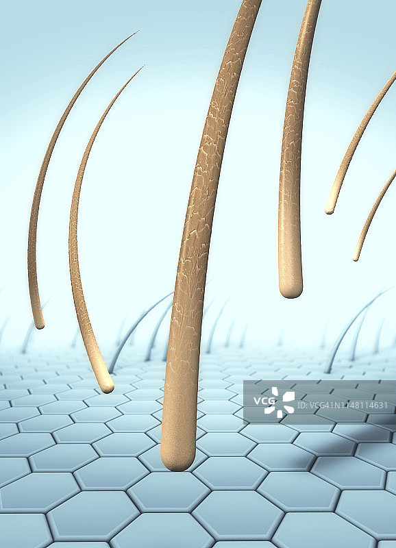 脱发概念图图片素材