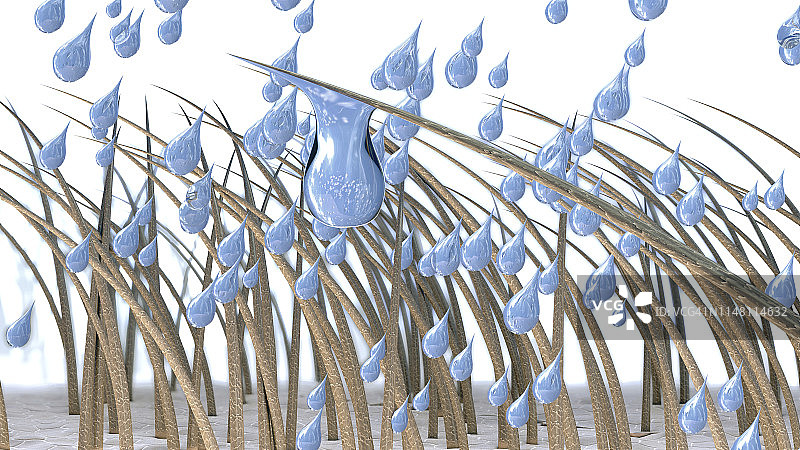 湿发插画图片素材