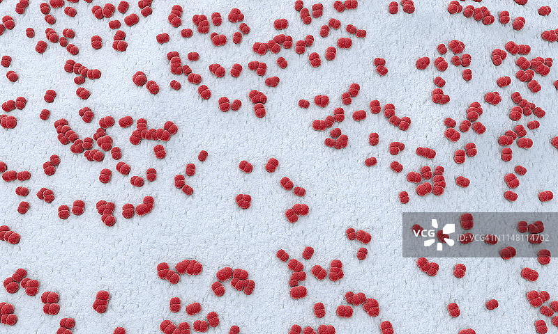 脑膜炎球菌细菌，图示图片素材