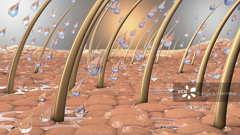 人体皮肤上的水珠插画图片素材