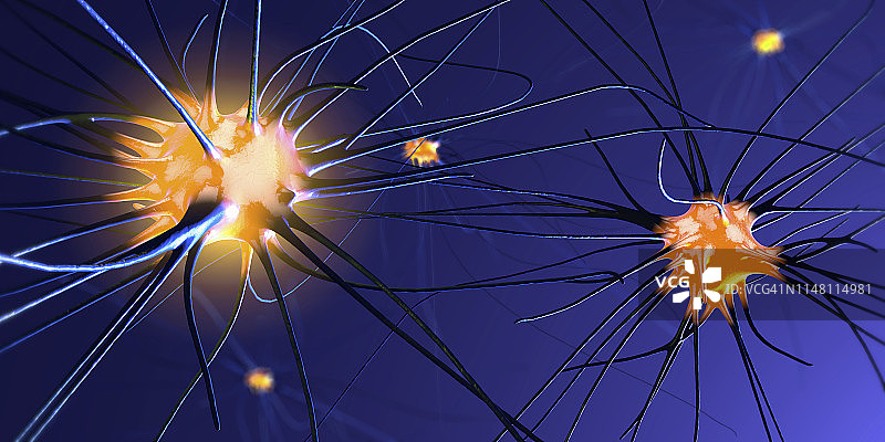 神经细胞插图图片素材
