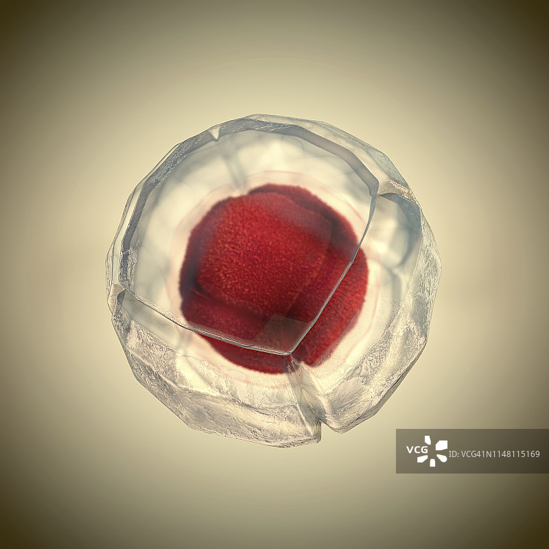 细胞，插图图片素材