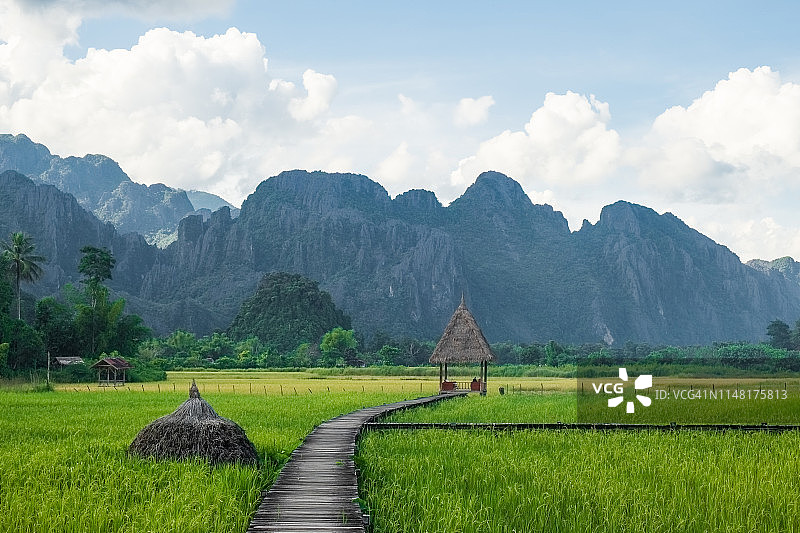 老挝阳光明媚的山间稻田图片素材