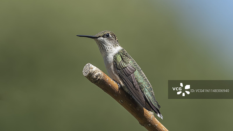 在阳光下放松身心图片素材