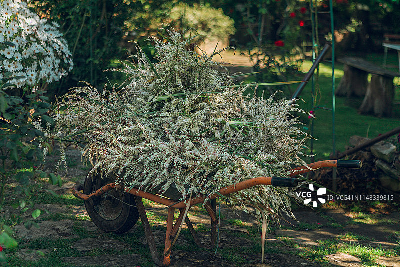 装满树叶的手推车图片素材