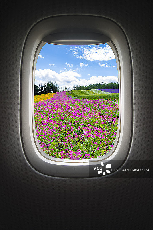 北海道富田农场的彩色花园与飞机图片素材