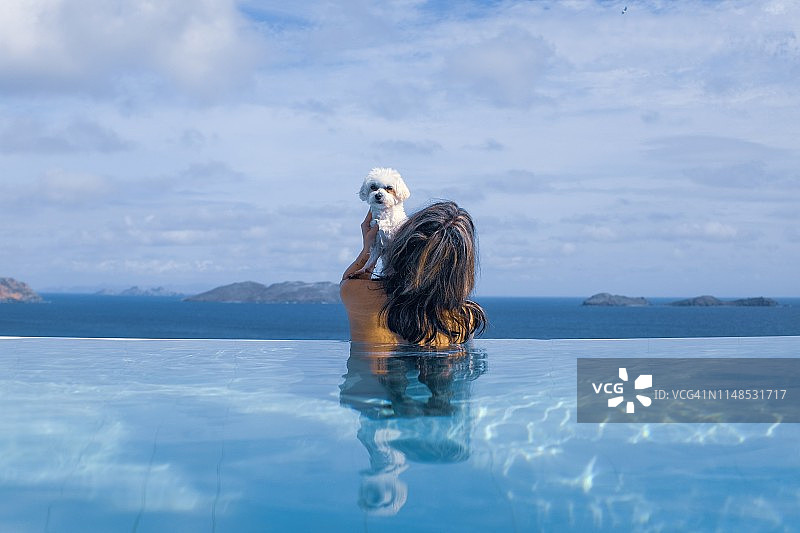 完美的幼犬之爱图片素材