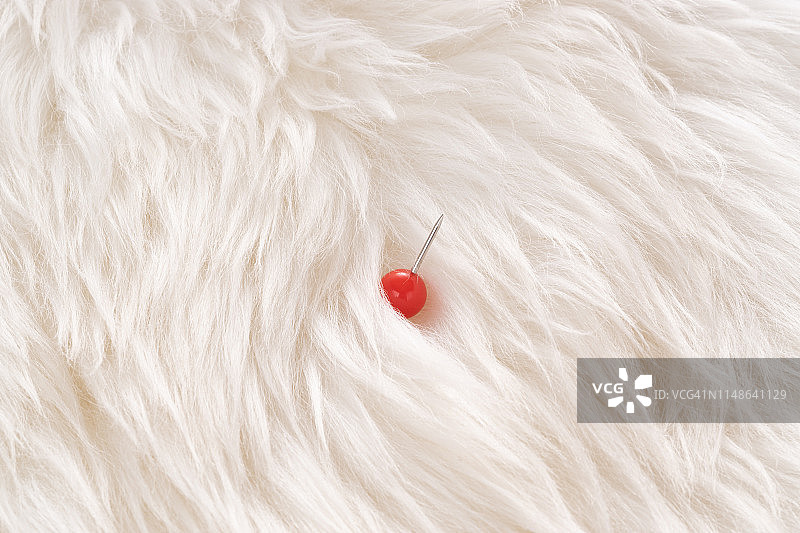 隐藏在毛皮中的红色针，危险概念图片素材