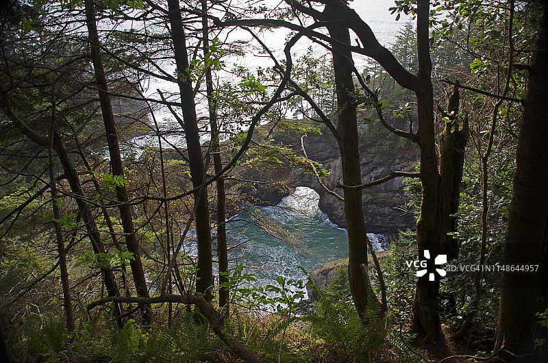 俄勒冈州壮丽的海岸线和拱门图片素材