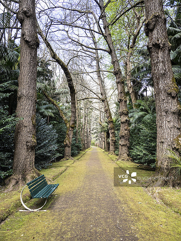 公共公园座椅，圣米格尔岛，亚速尔群岛，葡萄牙图片素材