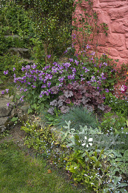 威尔士彭布罗克郡迪纳斯迪夫林费南特花园图片素材