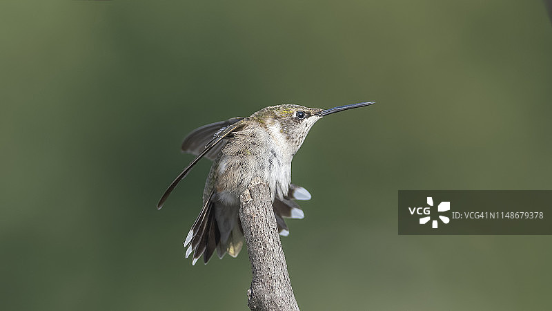 准备迎接新的一天图片素材